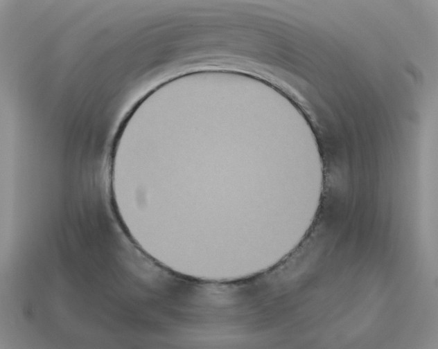X0000113301514200910131036