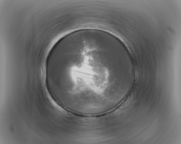 X0000113301515200910131036
