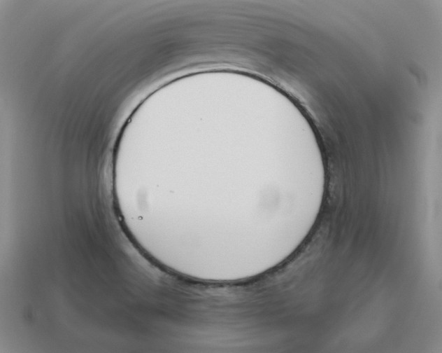 X0000113301516200910131036