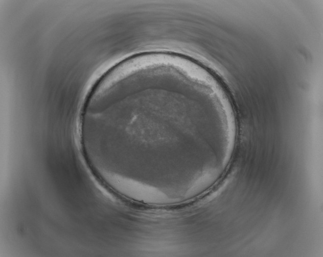 X0000113301517200910131036
