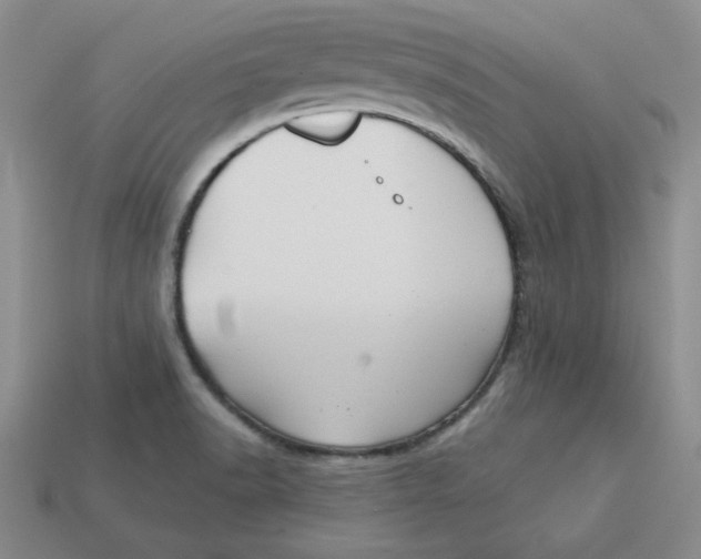 X0000113301518200910131036