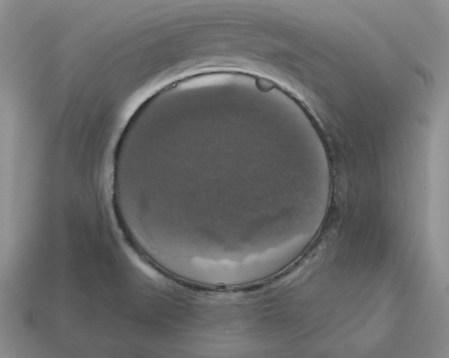X0000113301519200910131036