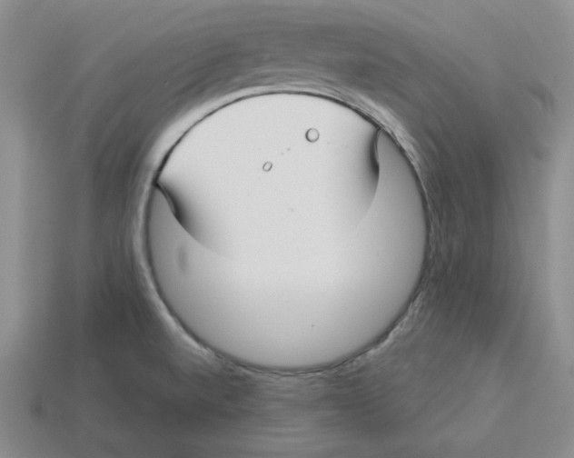 X0000113301520200910131036