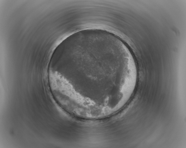 X0000113301521200910131036