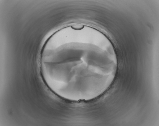 X0000113301522200910131036