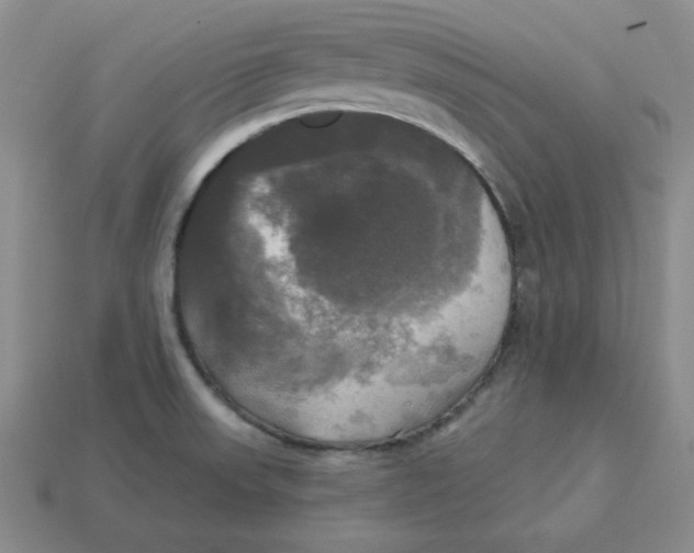 X0000113301523200910131036