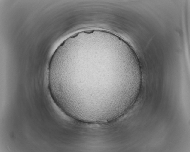 X0000113301524200910131036
