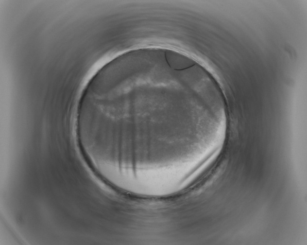 X0000113301525200910131036