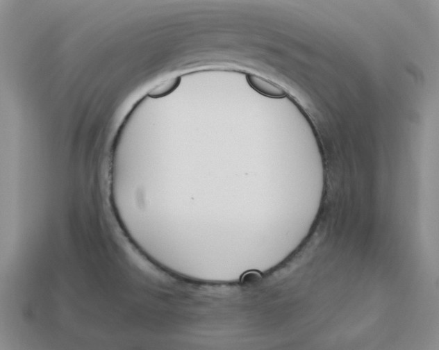 X0000113301526200910131036