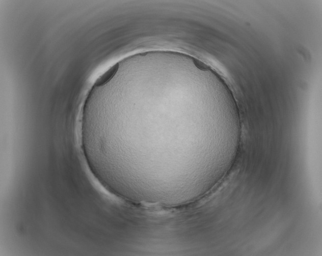 X0000113301528200910131036