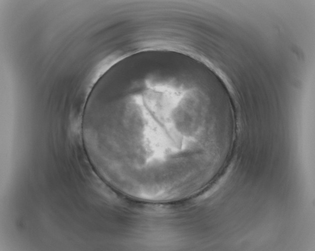 X0000113301529200910131036