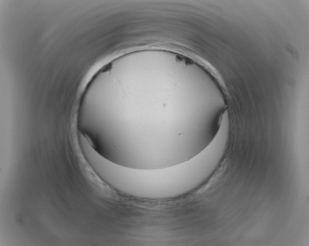 X0000113301530200910131036