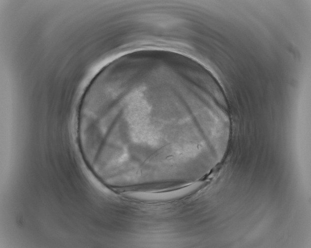 X0000113301531200910131036