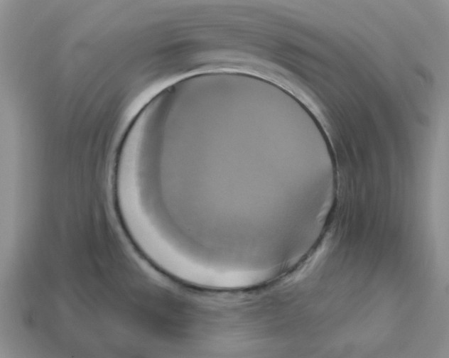 X0000113301533200910131036