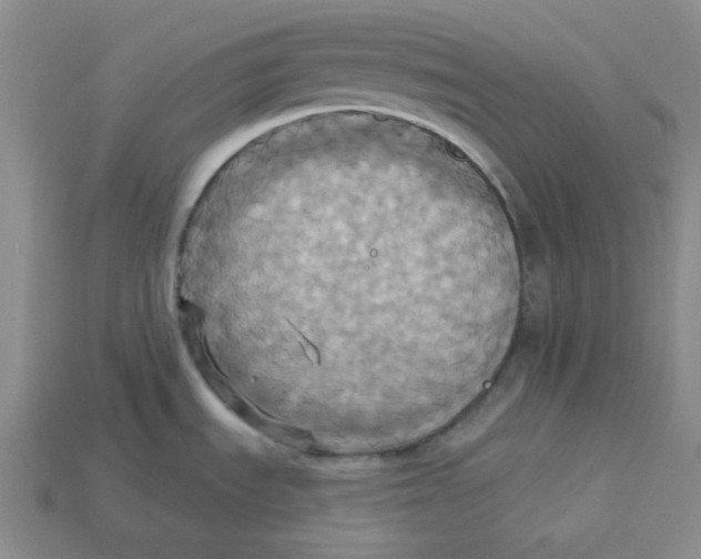 X0000113301535200910131036
