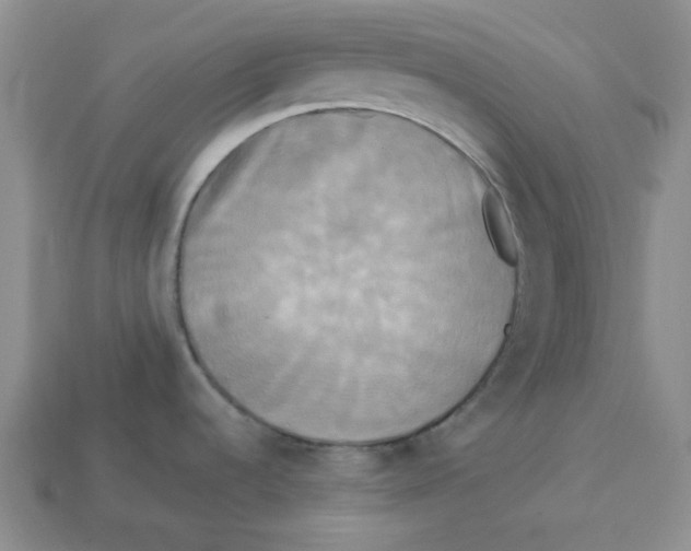 X0000113301536200910131036