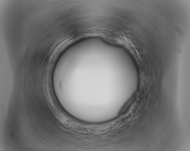 X0000113310001200909141015