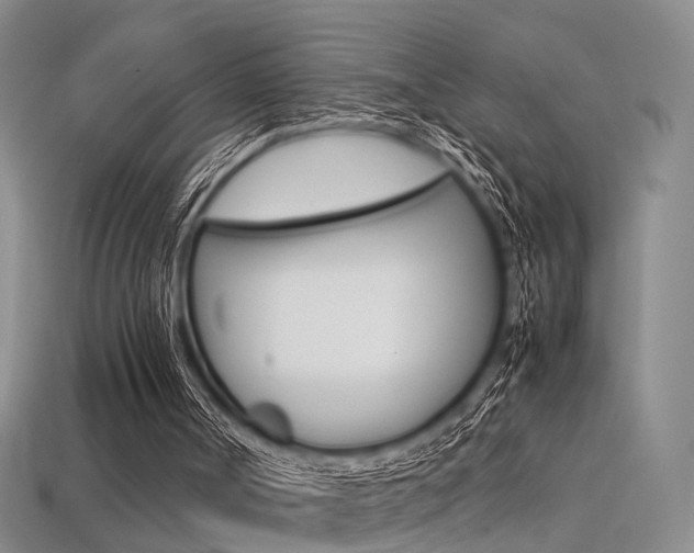 X0000113310002200909141015