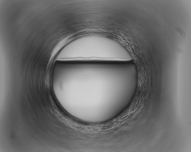 X0000113310004200909141015