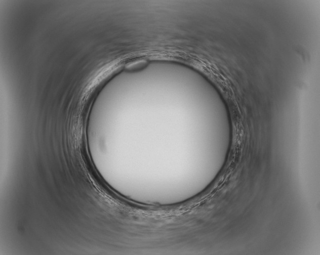 X0000113310005200909141015