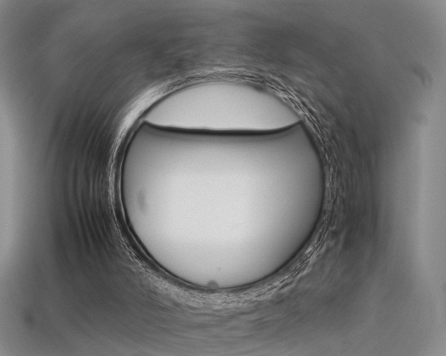 X0000113310006200909141015