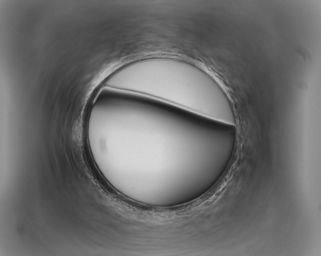 X0000113310008200909141015