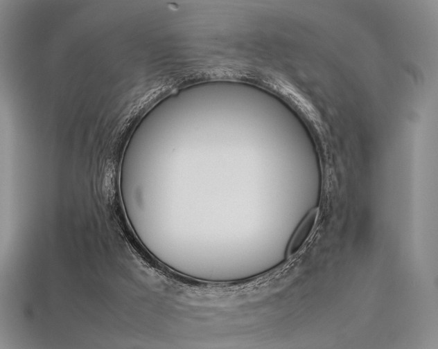 X0000113310009200909141015