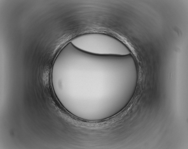 X0000113310010200909141015