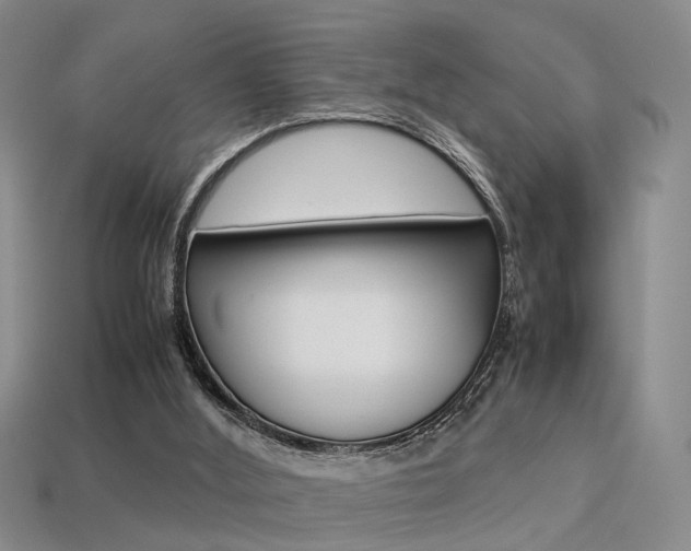 X0000113310012200909141015