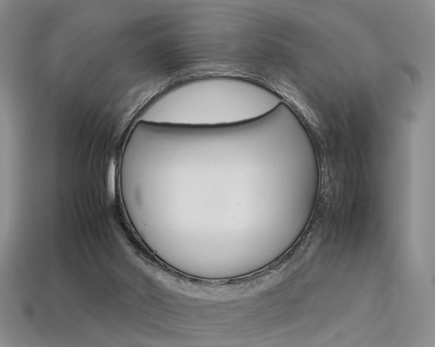 X0000113310014200909141015