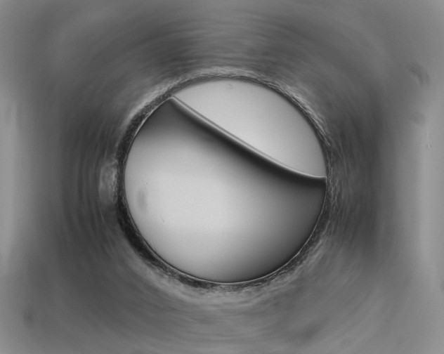 X0000113310016200909141015