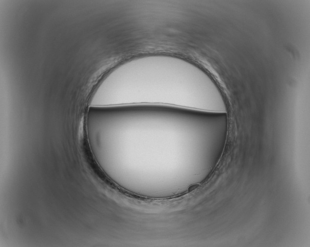 X0000113310019200909141015