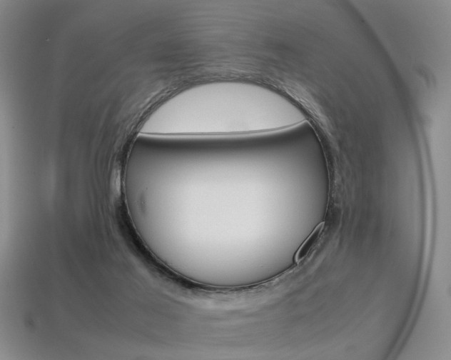 X0000113310021200909141015