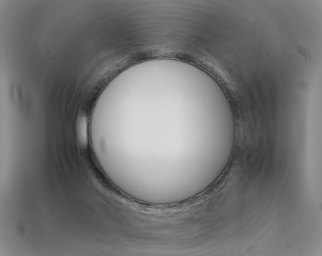 X0000113310022200909141015