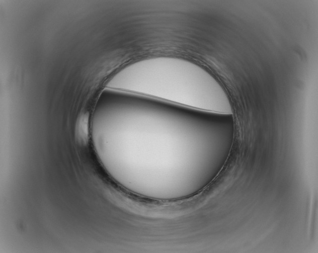 X0000113310028200909141015