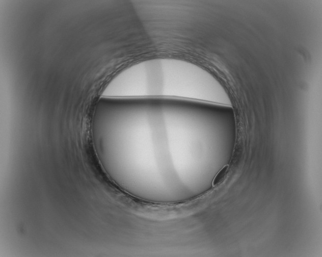 X0000113310029200909141015