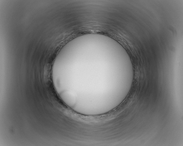 X0000113310030200909141015