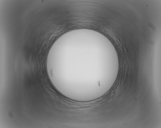 X0000113310031200909141015