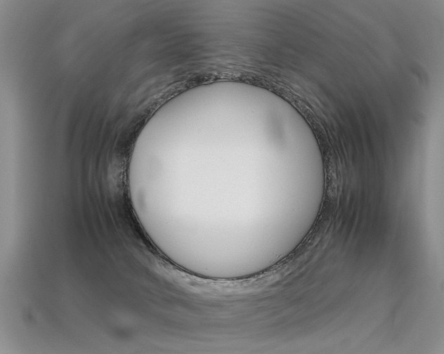 X0000113310034200909141015