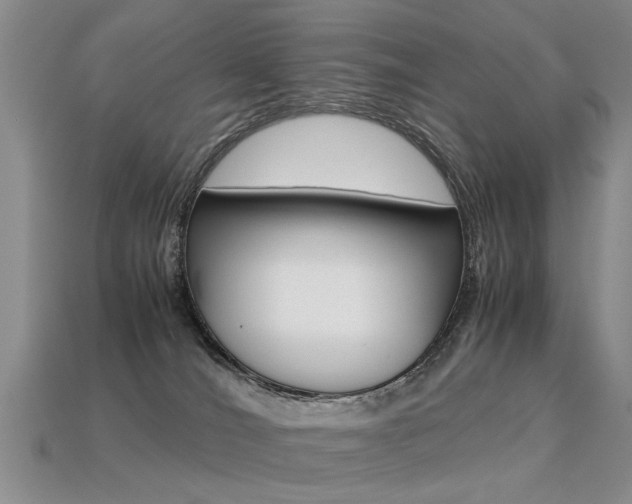 X0000113310036200909141015