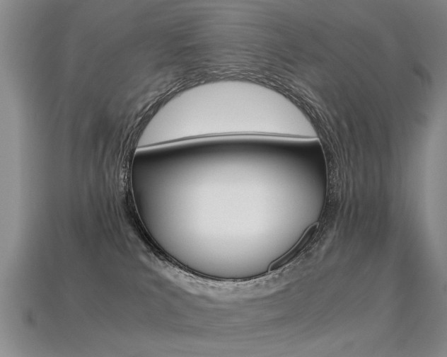 X0000113310039200909141015