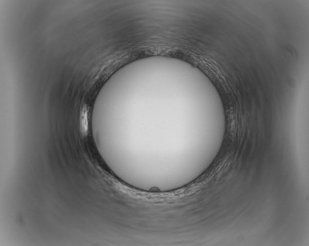 X0000113310042200909141015