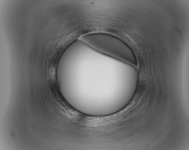 X0000113310045200909141015