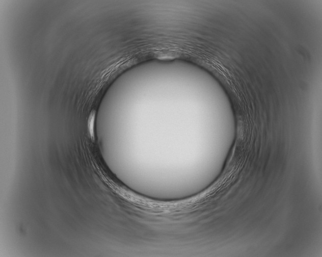 X0000113310047200909141015