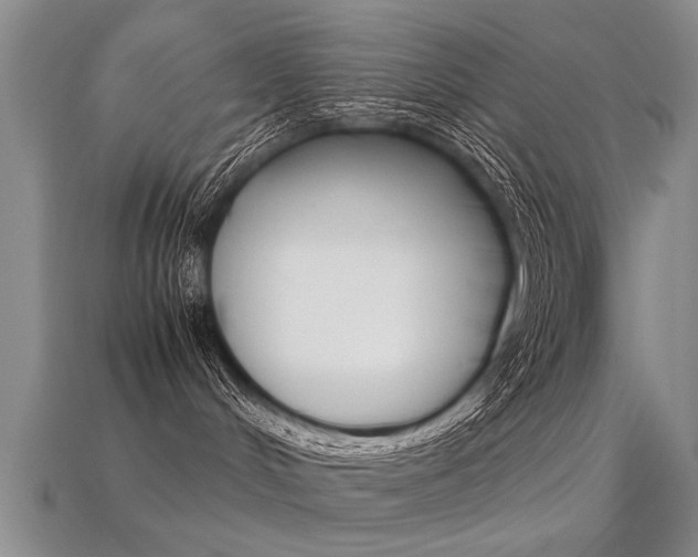 X0000113310048200909141015