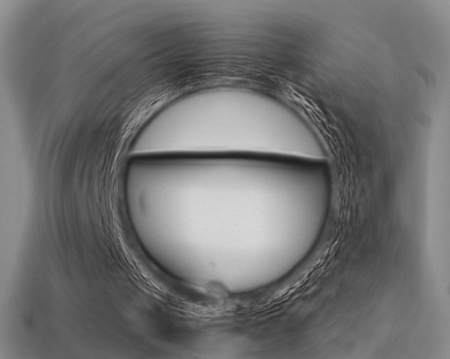 X0000113310049200909141014