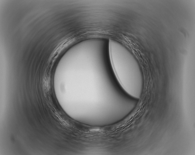 X0000113310050200909141014