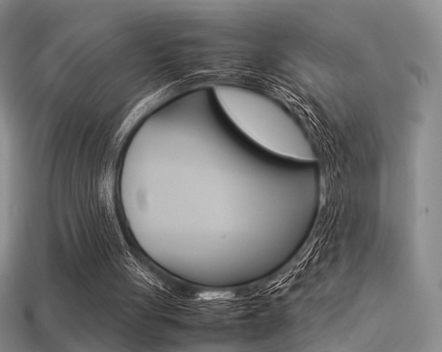 X0000113310051200909141014