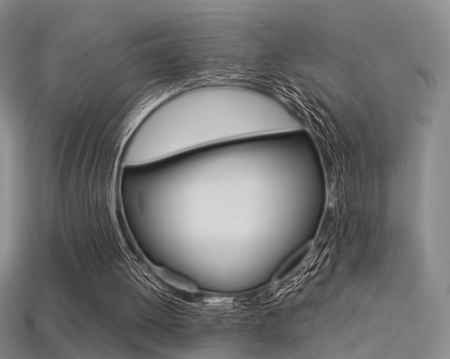 X0000113310052200909141014