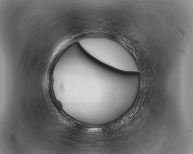 X0000113310053200909141014